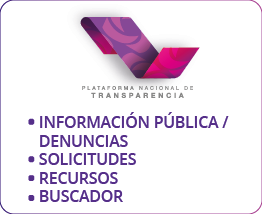 Plataforma Nacional de Transparencia - Solicitudes de acceso a la información pública y de derechos ARCO